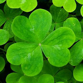 87850B7B-71D2-41E4-B5B7-10D506624FA8