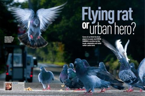 1D477E21-2C9C-40BE-95BD-DEADAE7DCA64