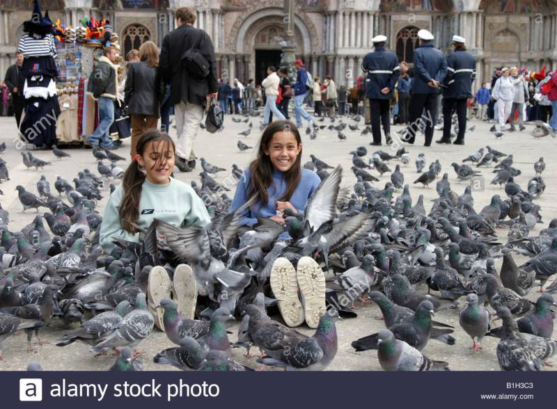 B5C7930E-A176-4125-A8F4-3C6B3B97B0F2