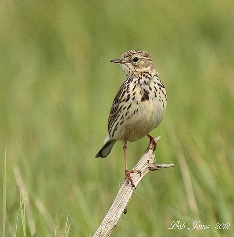 C44F4BB8-F8A1-4041-B4C7-13B5735334DC