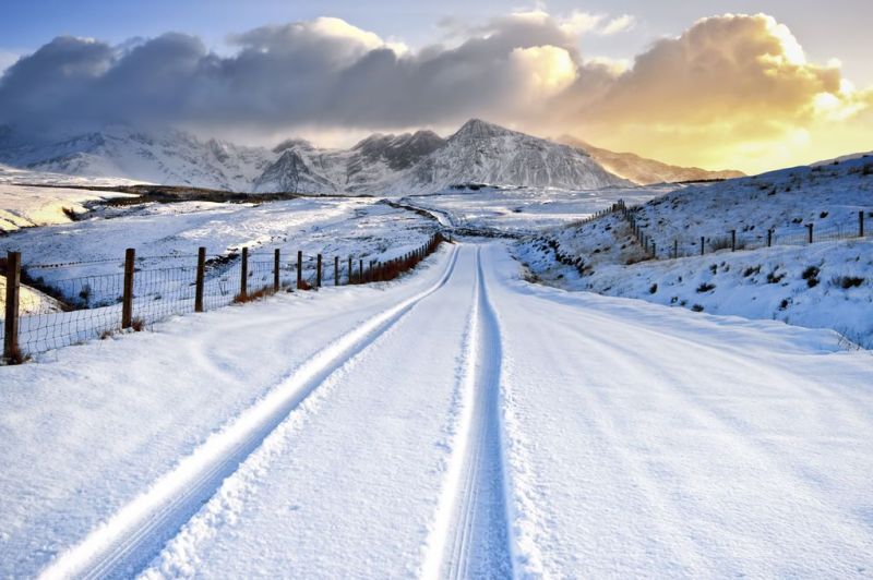 DF578A14-A597-491D-97B2-D489EFA16A3F